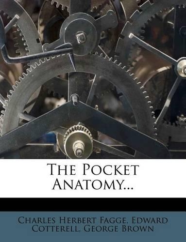 The Pocket Anatomy...