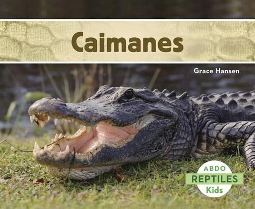 Caimanes