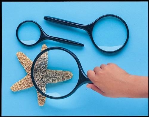 Magnifying Glass: (Magnifying Glasses)