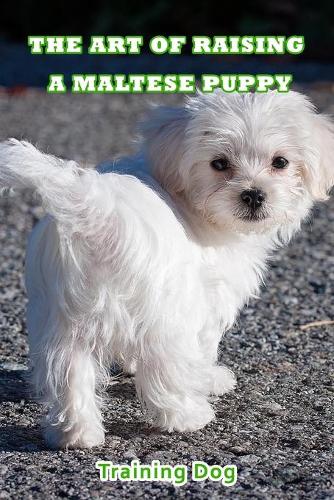 The Art Of Raising A Maltese Puppy