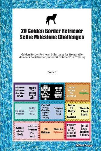 20 Golden Border Retriever Selfie Milestone Challenges