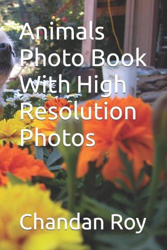 Animals Photo Book With High Resolution Photos