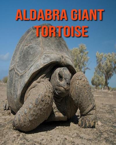 Aldabra Giant Tortoise: Amazing Pictures & Fun Facts on Animals in Nature