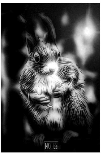 Notes: Cute Squirrel Composition Notebook/Journal for Animals Lovers to Writing (6x9 Inch.) College Ruled Lined Paper 120 Blank Pages (LIGHT BLACK&WHITE Pa