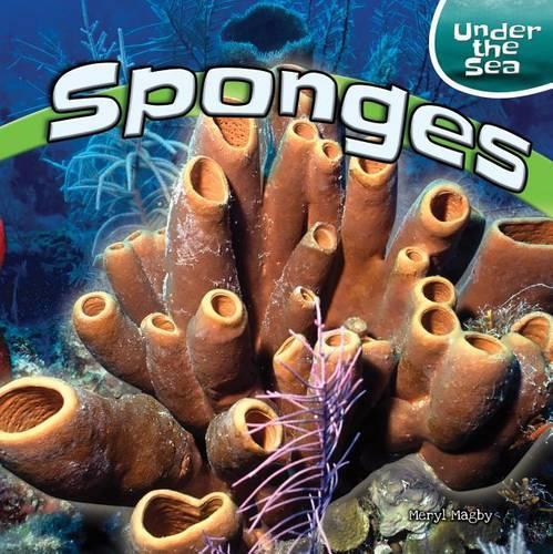 Sponges