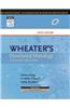 Wheater's Functional Histology, 6e