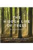 The Hidden Life of Trees: The Illustrated Edition