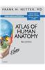 Atlas of Human Anatomy, International Edition (Netter Basic Science)