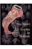 Art Forms in Nature: The Prints of Ernst Haeckel