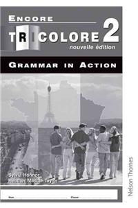 Encore Tricolore Nouvelle 2 Grammar in Action Pack (x8)