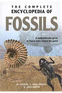 Complete Encyclopedia of Fossils