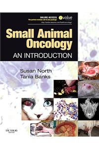 Small Animal Oncology