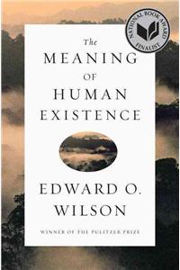 Meaning of Human Existence