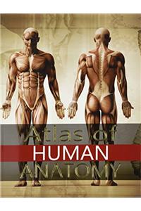 Atlas of Human Anatomy