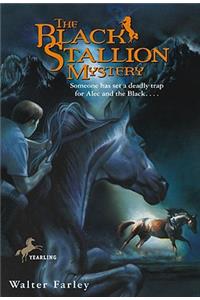 Black Stallion Mystery