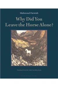 Why Did You Leave the Horse Alone