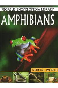 Amphibians