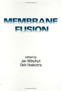 Membrane Fusion