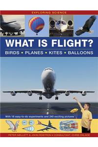 Exploring Science: What Is Flight?: Birds, Planes, Kites, Balloons; With 18 Easy-To-Do Experiments and 240 Exciting Pictures