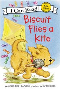 Biscuit Flies a Kite