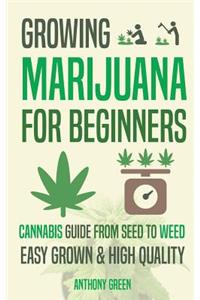 Growing Marijuana for Beginners