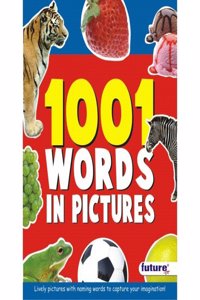 1001 Words in Picture