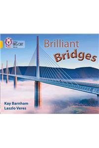 Brilliant Bridges