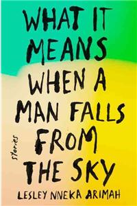 What It Means When a Man Falls from the Sky