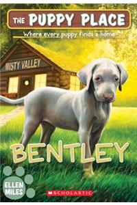 Bentley (the Puppy Place #53)