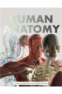 Illustrated Human Anatomy