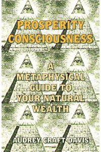 Prosperity Consciousness: A Metaphysical Guide to Your Natural Wealth