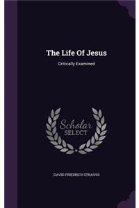 The Life Of Jesus