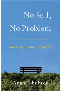 No Self, No Problem: Awakening to Our True Nature