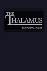 Thalamus