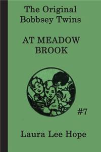 Bobbsey Twins at Meadow Brook