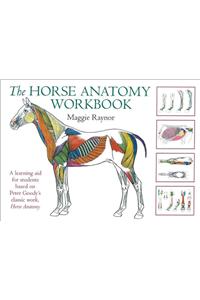 Horse Anatomy Workbook