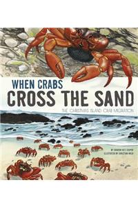 When Crabs Cross the Sand: The Christmas Island Crab Migration