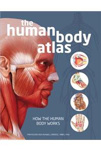 Human Body Atlas