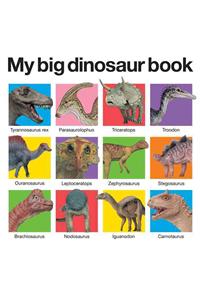 My Big Dinosaur Book