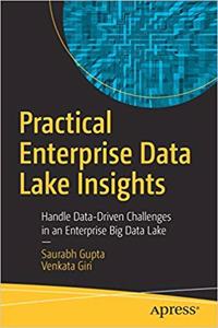 Practical Enterprise Data Lake Insights: Handle Data-Driven Challenges in an Enterprise Big Data Lake