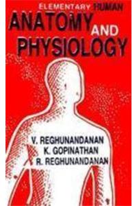 Elementary Human Anatomy And Physiology