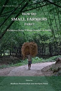 How Do Small Farmers Fare Evidence From Village Studies In India