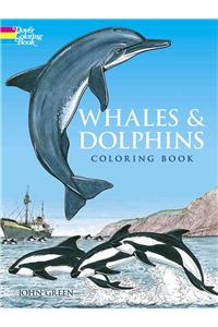 Whales and Dolphins Coloring Book