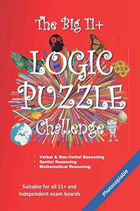 Big 11+ Logic Puzzle Challenge