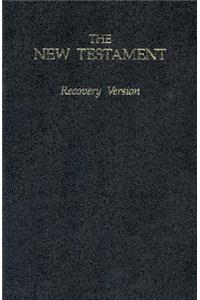 Recovery New Testament-OE-Economy Size