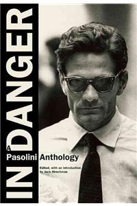 In Danger: A Pasolini Anthology