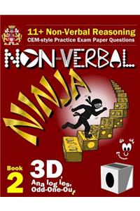 11+ Non Verbal Reasoning