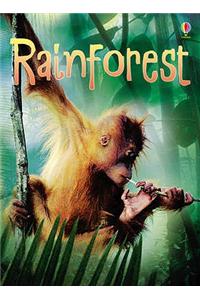 Rainforests