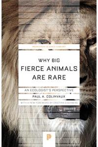 Why Big Fierce Animals Are Rare: An Ecologist's Perspective