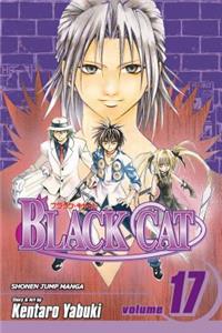 Black Cat, Vol. 17, 17